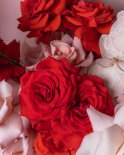 Load image into Gallery viewer, BELLA ROSA Amalfi Floral Design