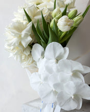 Load image into Gallery viewer, COMO - NEW Amalfi Floral Design