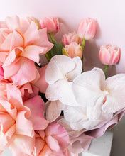 Load image into Gallery viewer, COMO ROSA - NEW Amalfi Floral Design