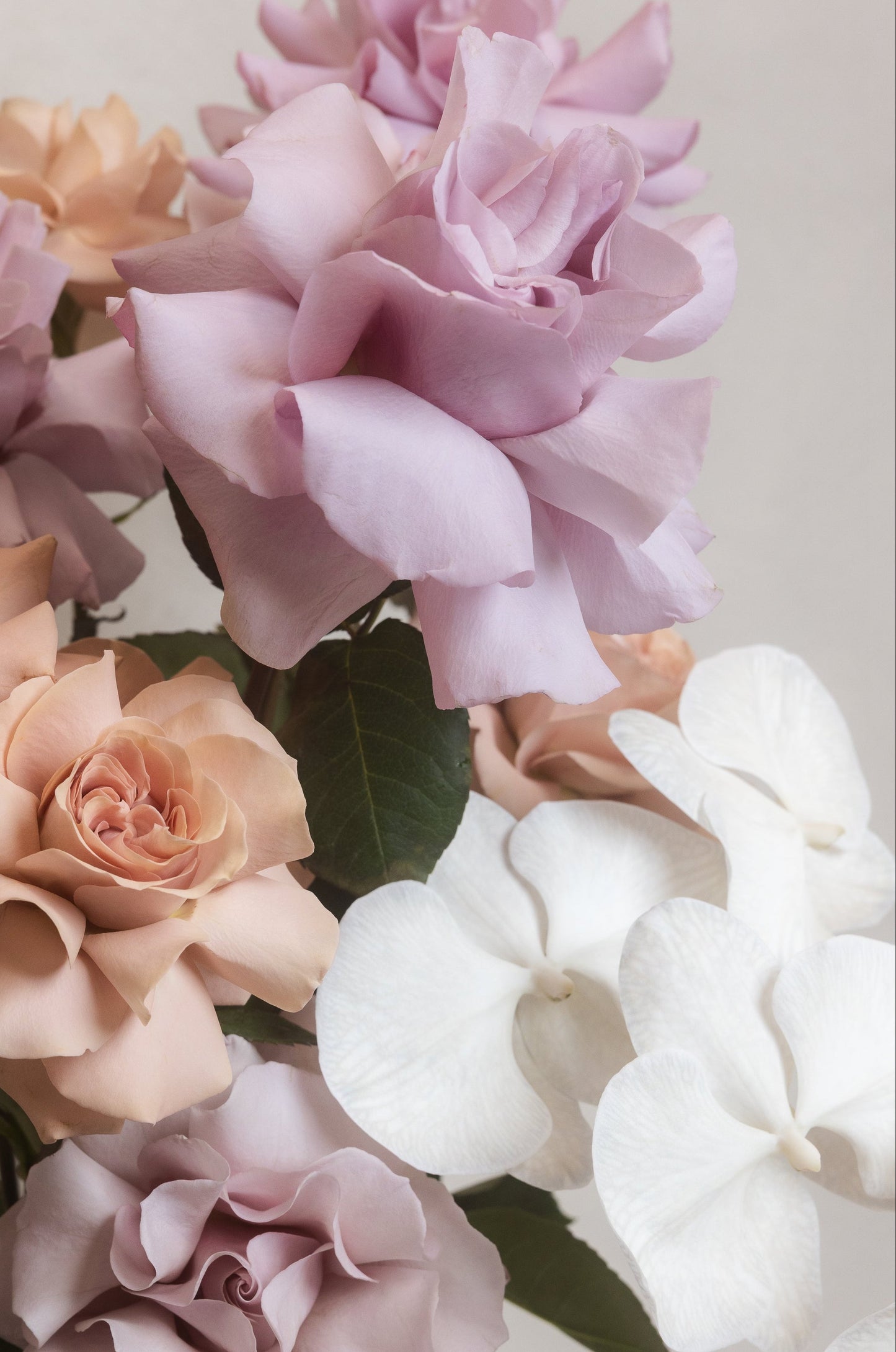 CIOCCOLATO Amalfi Floral Design