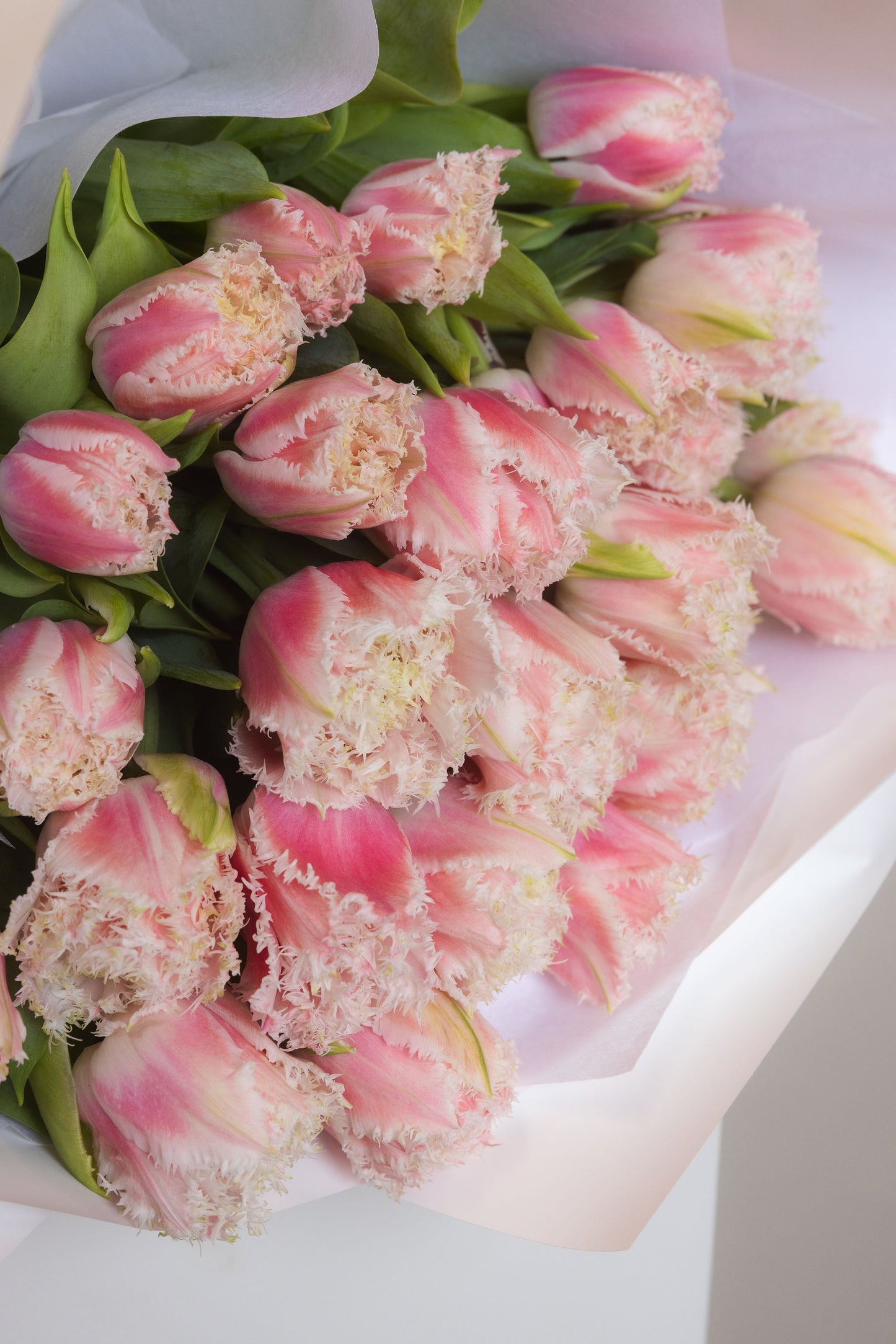 ELITE FRILLY PINK TULIPS EN MASSE Amalfi Floral Design
