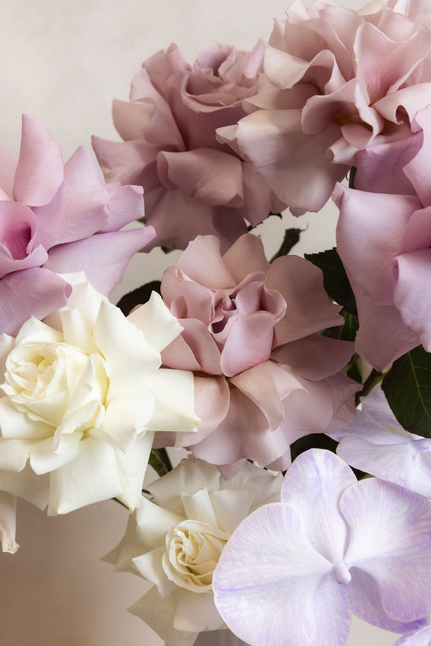 CIAO BELLA! Amalfi Floral Design