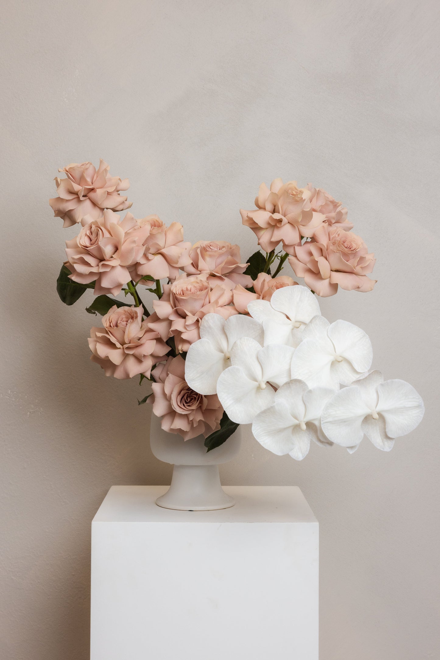 ESPRESSO Amalfi Floral Design