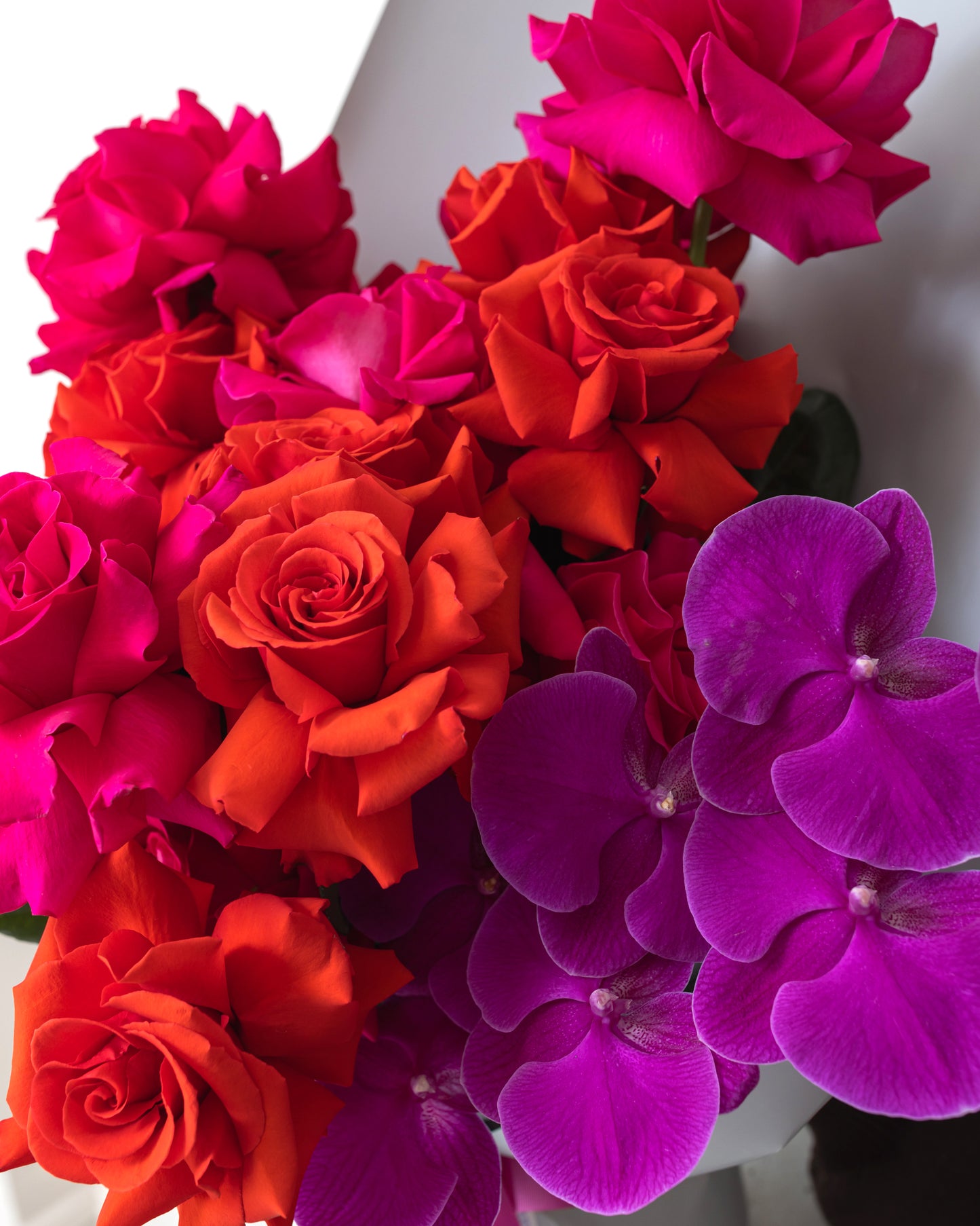 RIOMAGGIORE Amalfi Floral Design