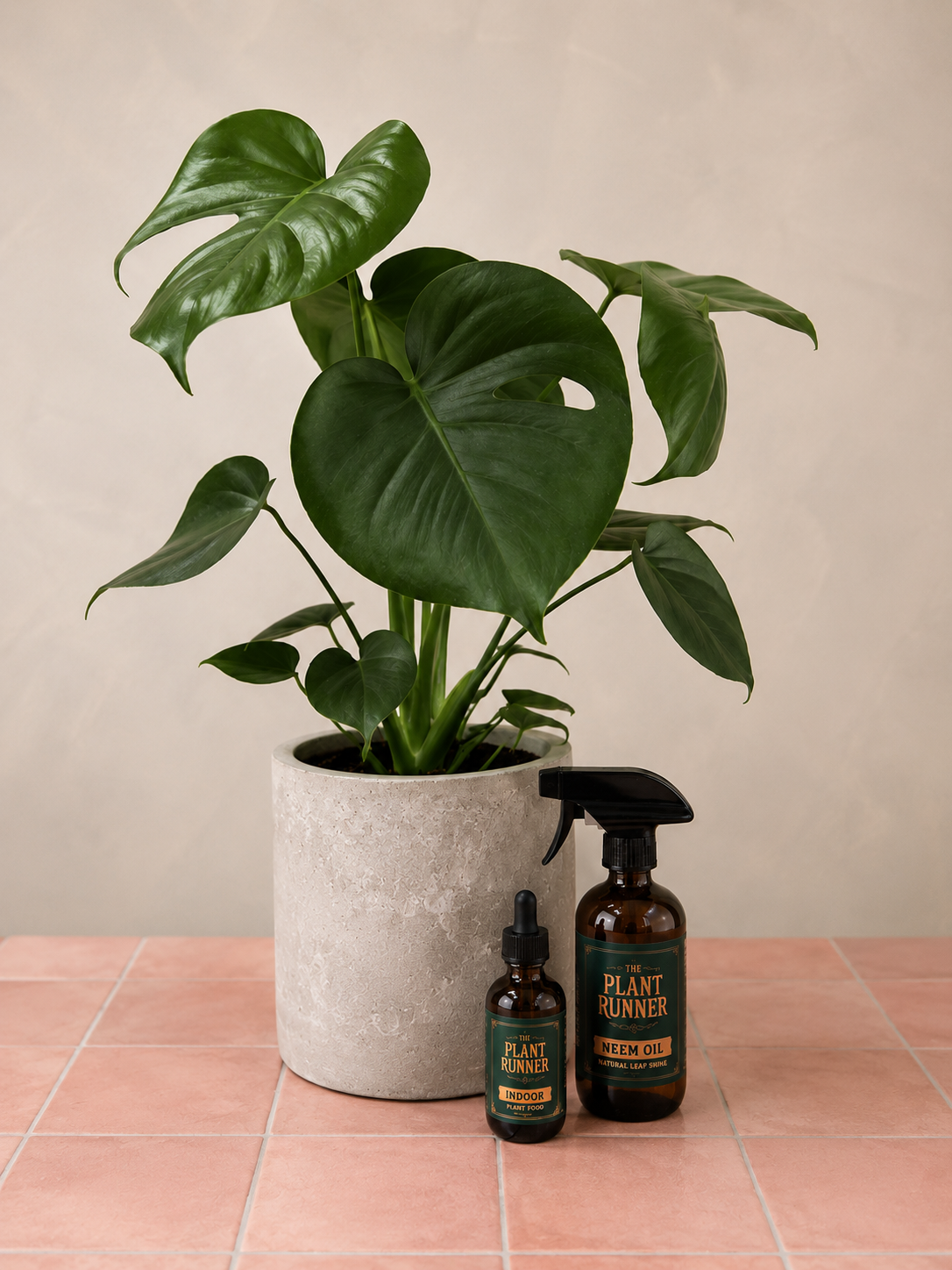 THE PLANT PACK Amalfi Floral Design