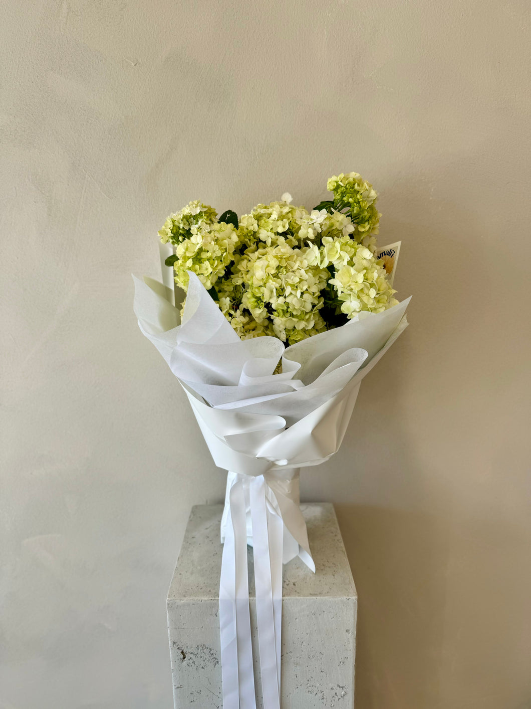 HYDRANGEA EN MASSE - WHITE / GREEN Amalfi Floral Design