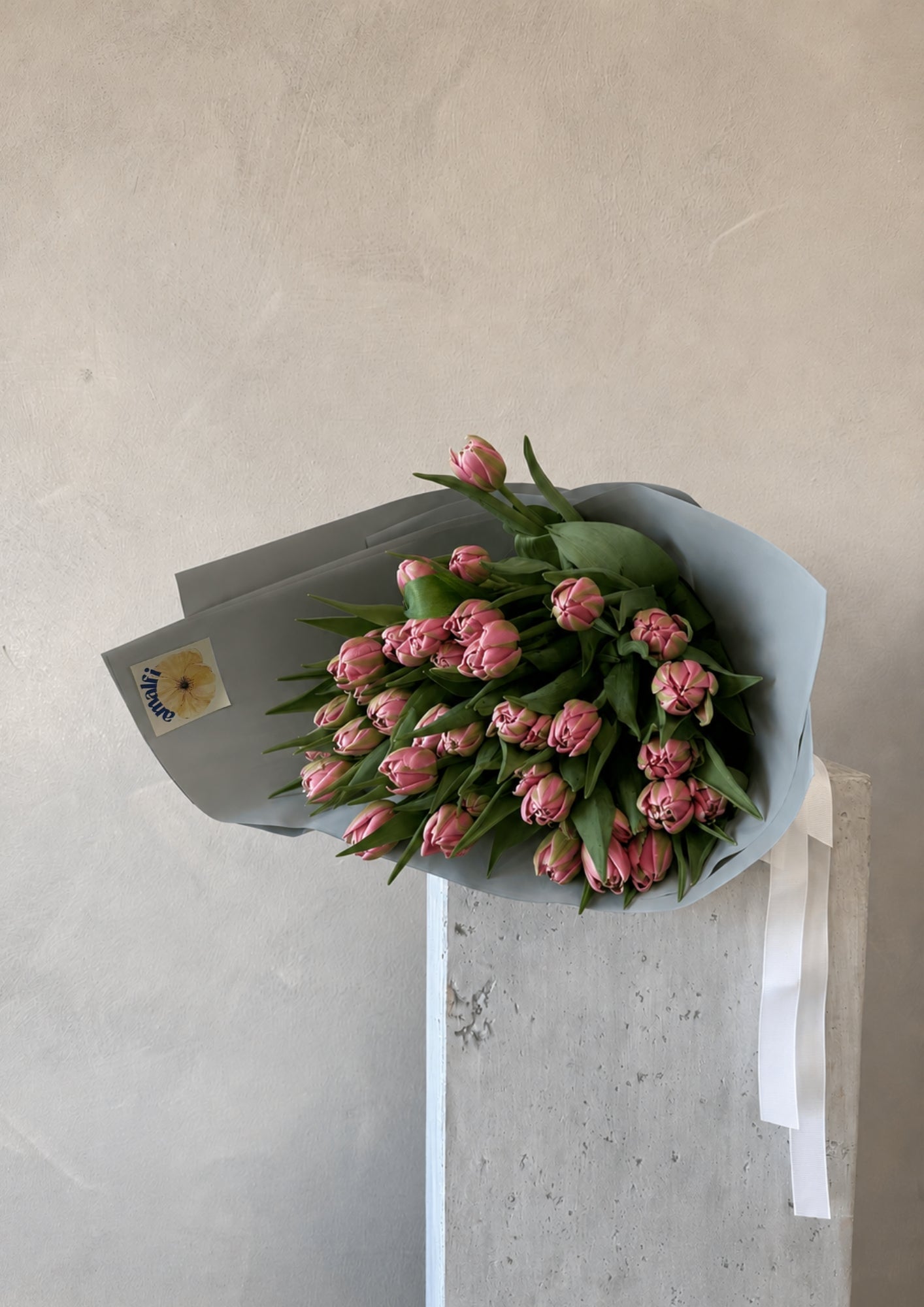 PINK TULIPS EN MASSE Amalfi Floral Design