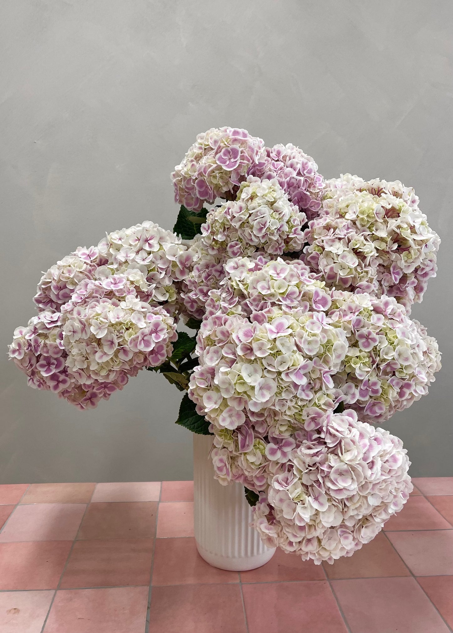 HYDRANGEA EN MASSE Amalfi Floral Design