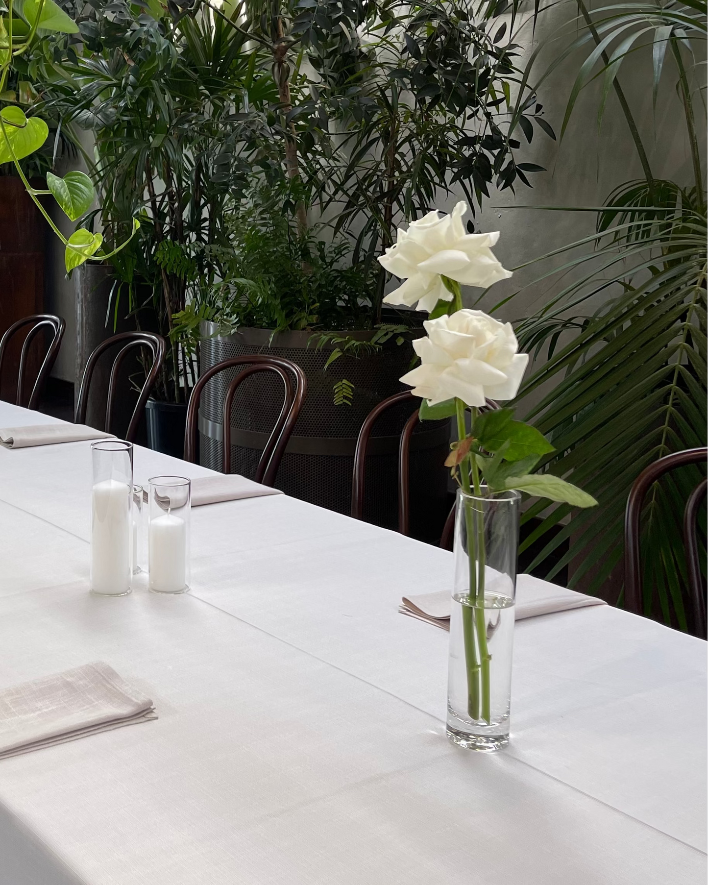 BUD VASES PACKAGE (Copy) Amalfi Floral Design