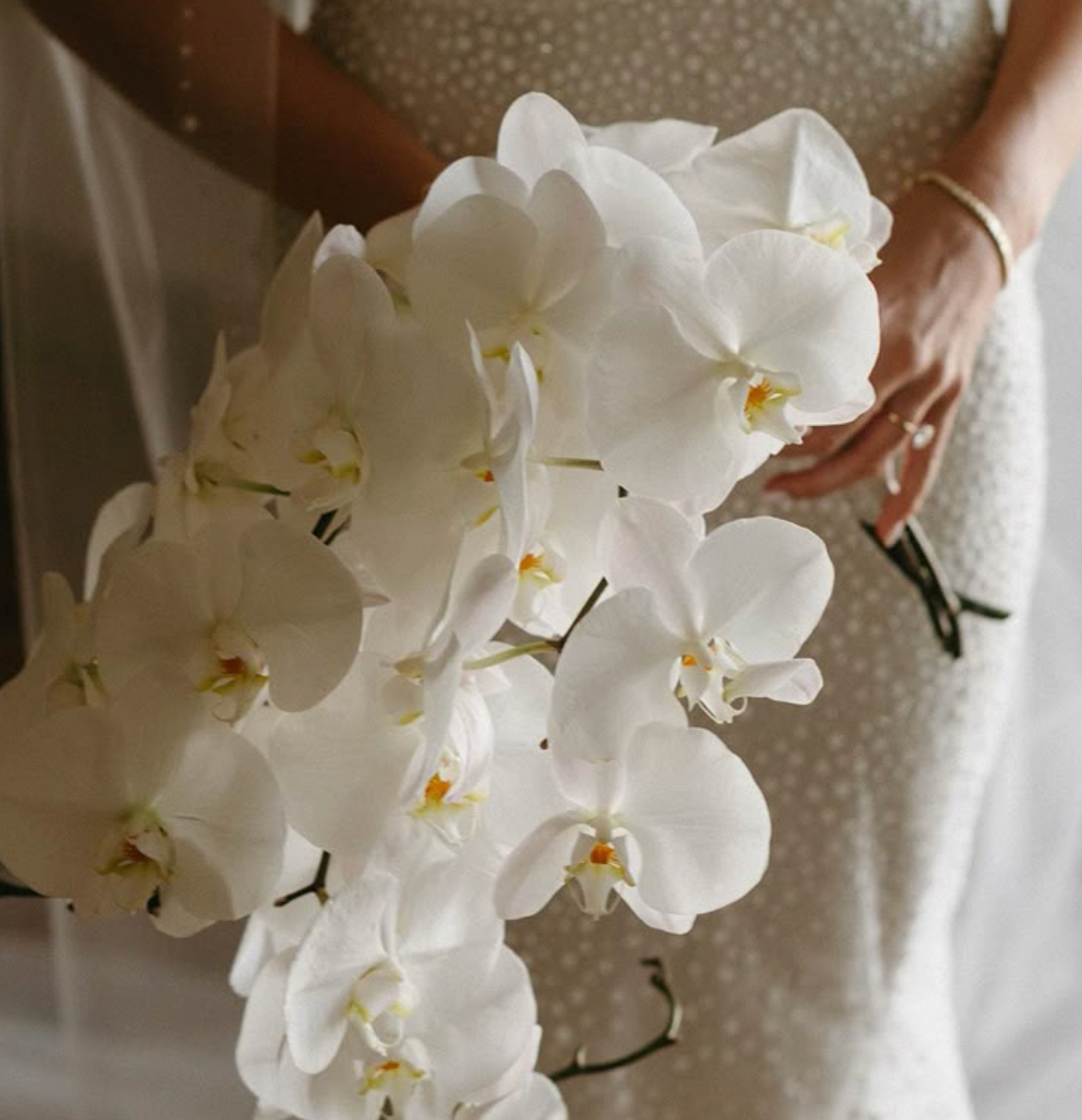 ORCHID BOUQUET Amalfi Floral Design