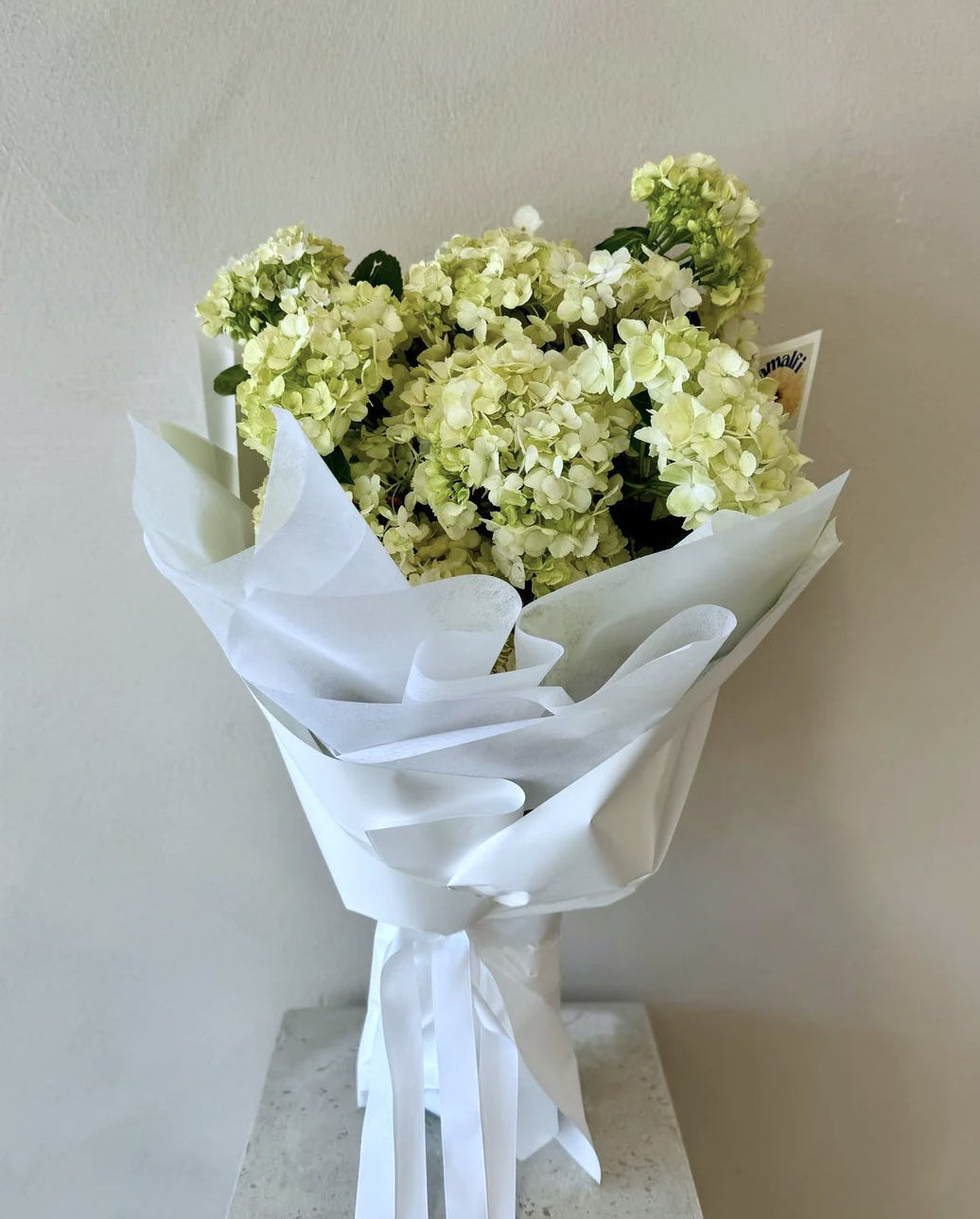 HYDRANGEA EN MASSE Amalfi Floral Design